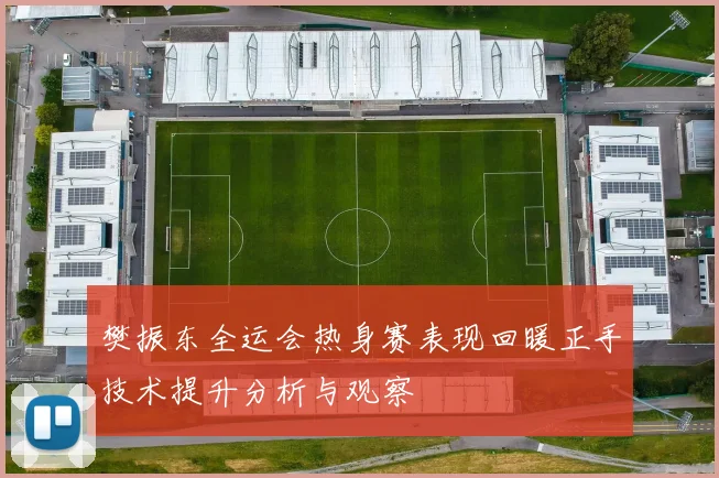 樊振东全运会热身赛表现回暖正手技术提升分析与观察